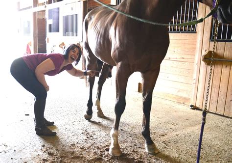 deepthroat horse